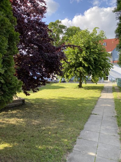 Galeriebild