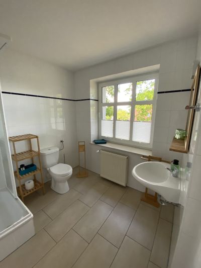Galeriebild